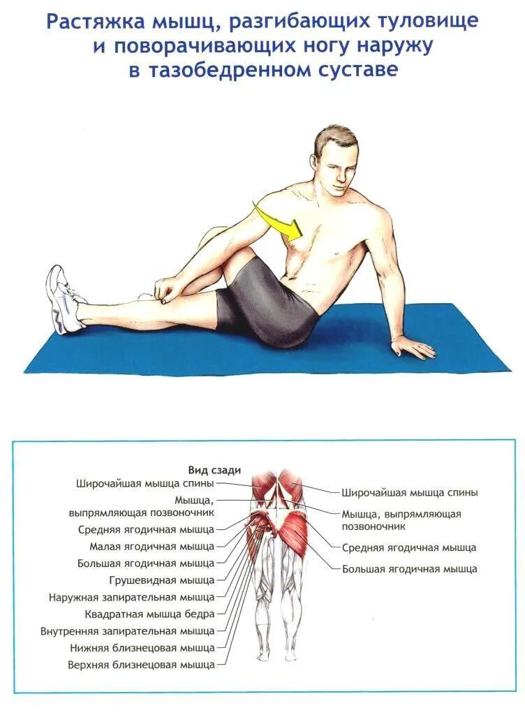 Потянул поясницу что делать. Растяжка подвздошно-поясничной мышцы упражнения. Растяжка квадратной поясничной мышцы упражнения. Квадратная поясничная мышца упражнения для спины. Упражнения для растяжения квадратной мышцы поясницы.
