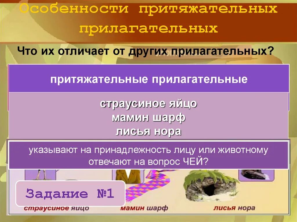 Суффиксы притяжательных имен прилагательных