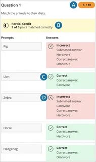 Match correct answers