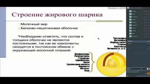 Размер жировых шариков