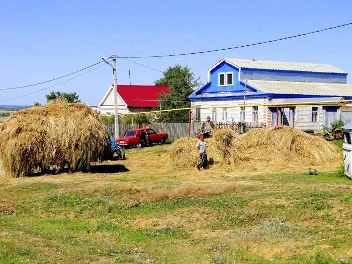 Необычный бизнес в деревне. Быстроокупаемый бизнес на селе. Своё хозяйство в деревне. Кроличья ферма. Бизнес в селе с нуля.