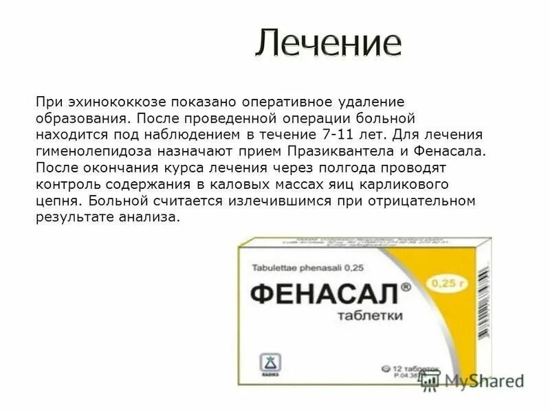 как лечить эхинококк