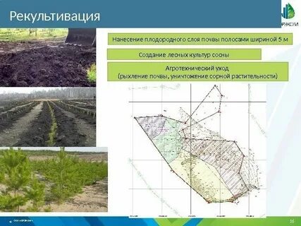 Что такое рекультивация в географии