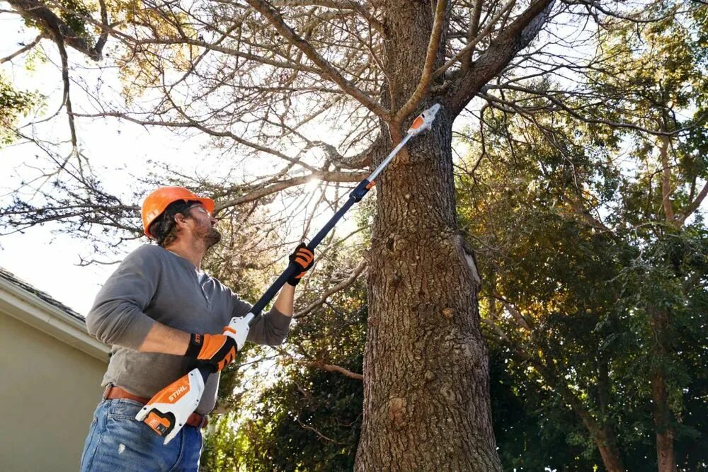 Обрезка деревьев инструмент аккумуляторный. Высоторез штиль. stihl 50. stihl 050. высоторез аккумуляторный.
