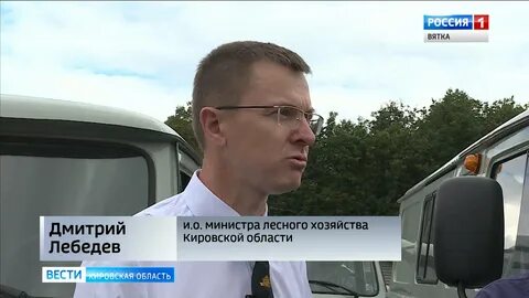 Лесное хозяйство кировской
