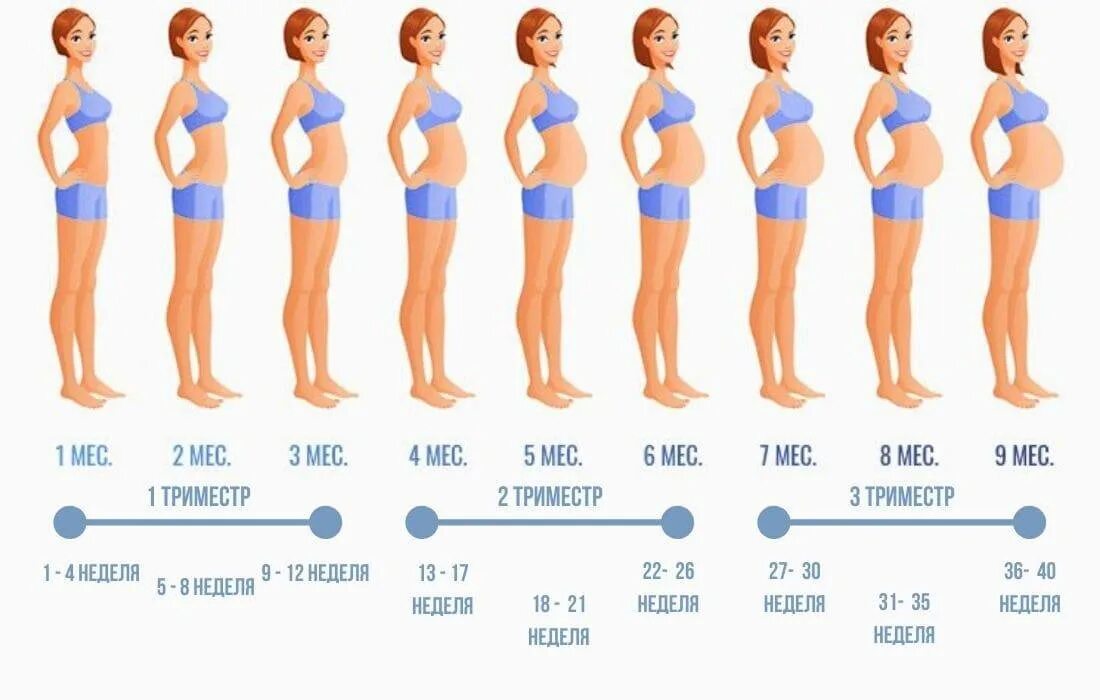 Болит живот на первых неделях. Второй месяц беременности живот. Живот в 2.5 месяца беременности. 2 Месяца беременности живот на второй беременности. Живот на 3 месяце беременности.