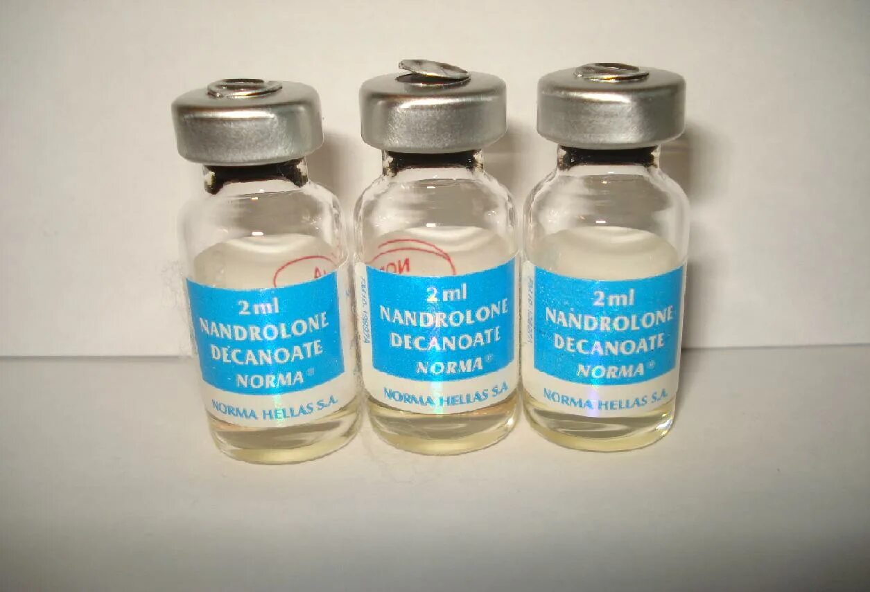 интернет магазин фармы. реклама самсон фарма. анаболики сустанон 250. интернет магазин фармы. самсон лекарство.