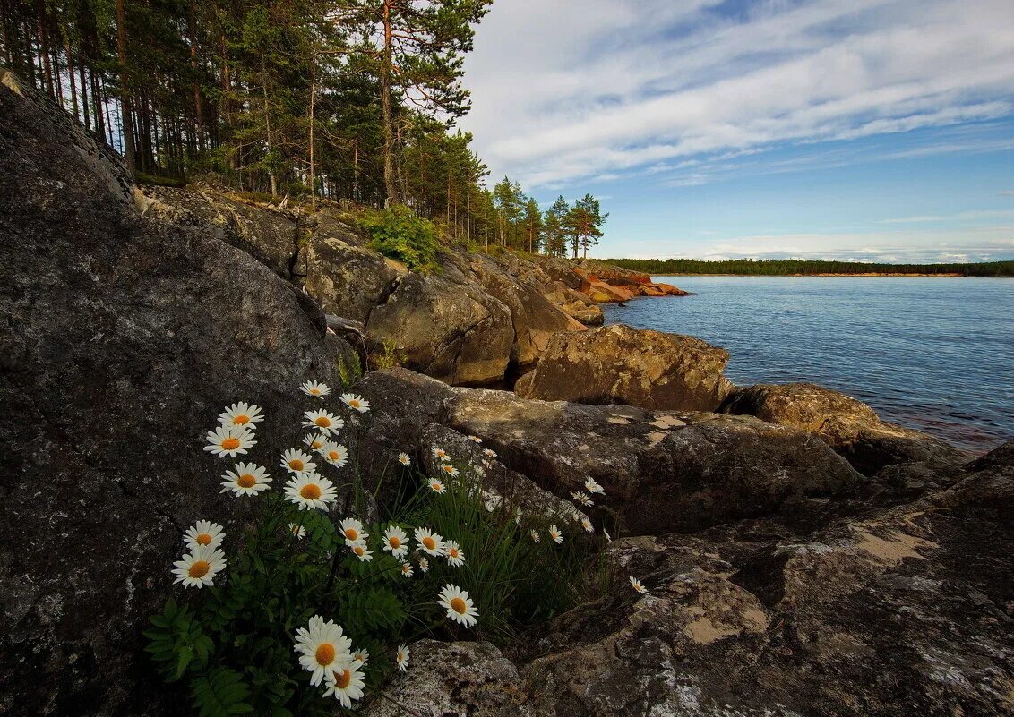 город онега архангельской области. онега (город) города архангельской области. г онега. г онега. г онега.