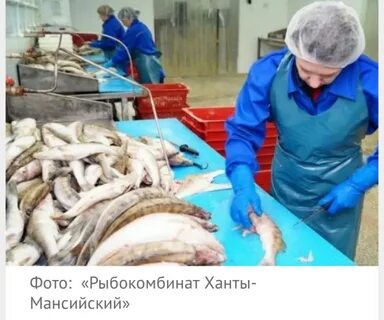 Рыбокомбинат донской