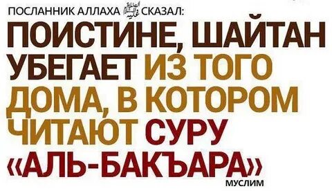 Шайтан читать