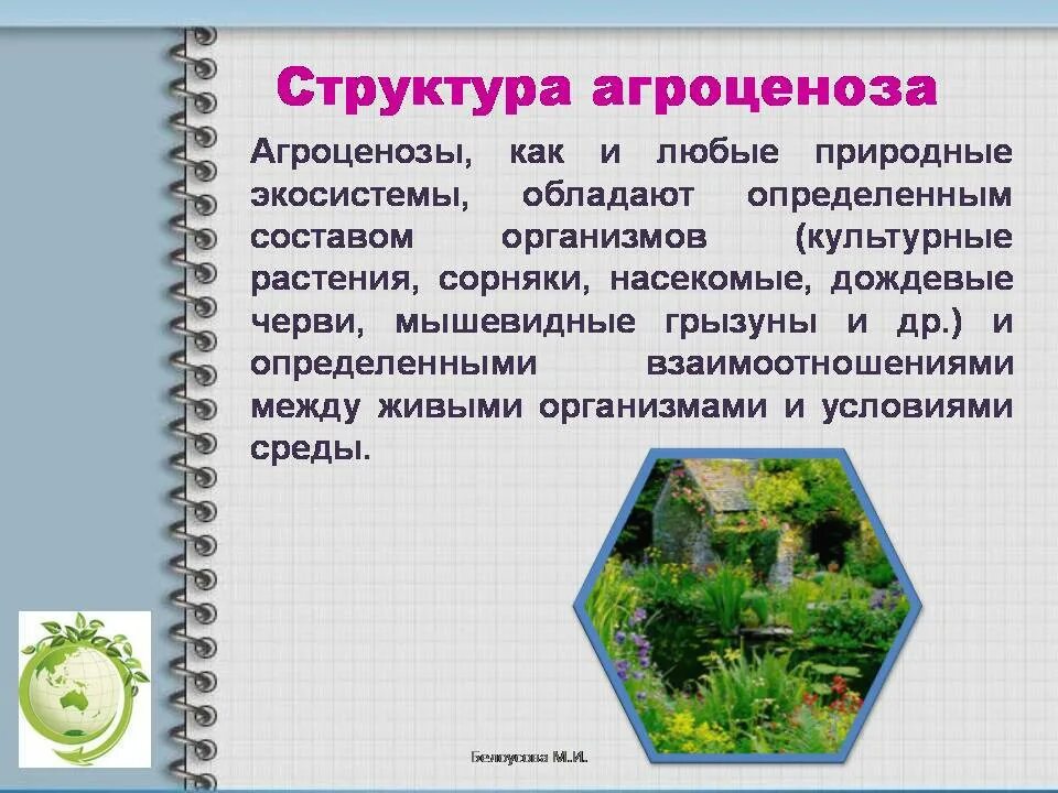 4 агроценоз. Искусственные экосистемы агроценозы. Структура агроценоза. Структура агроценоза кратко. Структура агробиоценоза.