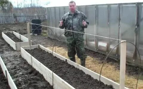 Теплая грядка для огурца
