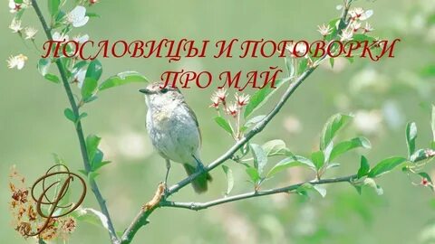 Май 5 месяц