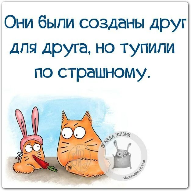 Есть у них и свои интернеты