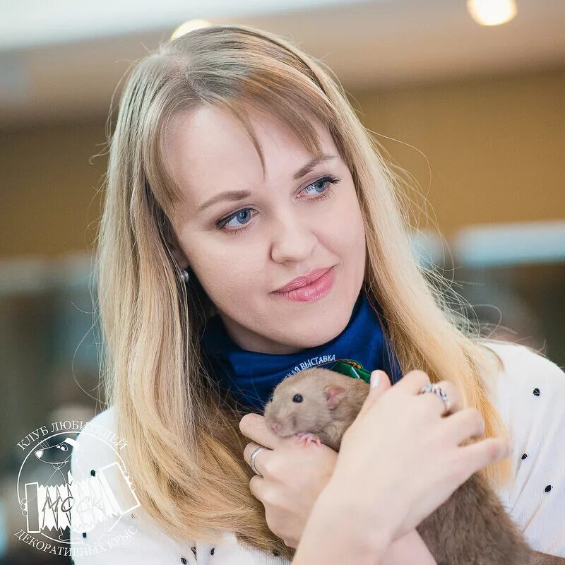 Зверюшкина кормушка интернет. Зверюшкина кормушка интернет