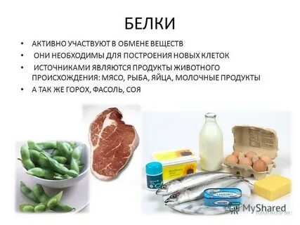 Активный белок