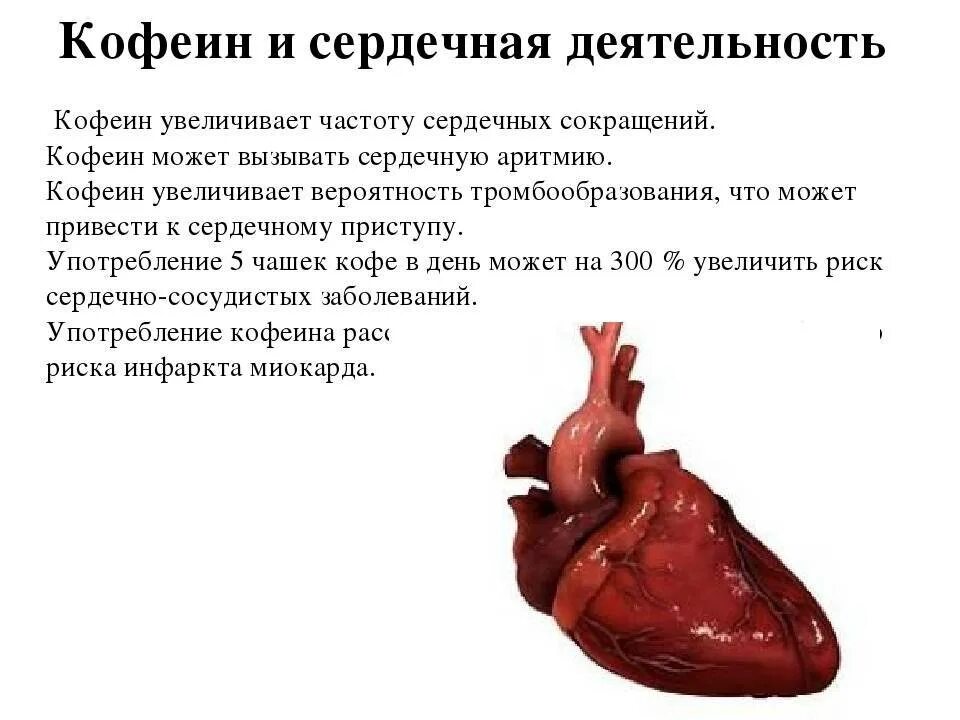 Кофе при аритмии сердца можно ли пить. Влияние кофеина на сердце. влияние кофеина на сердечно-сосудистую систему. сердечная деятельность. как кофеин влияет на сердце.