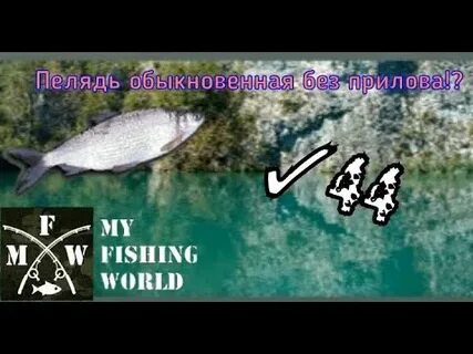 Каменный призрак на что ловить my fishing