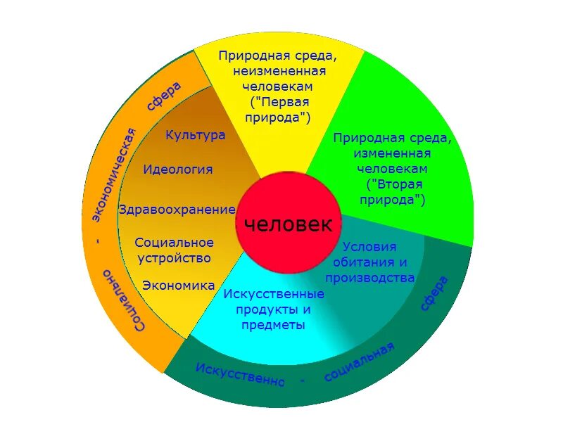 Проявляются во всех сферах жизни. Окружающая человека среда и ее компоненты. Человек и окружающая среда. Окружающая человека среда состоит из:. Среды окружающие человека.