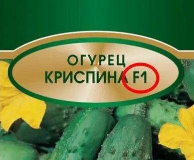 Огурцы возьми
