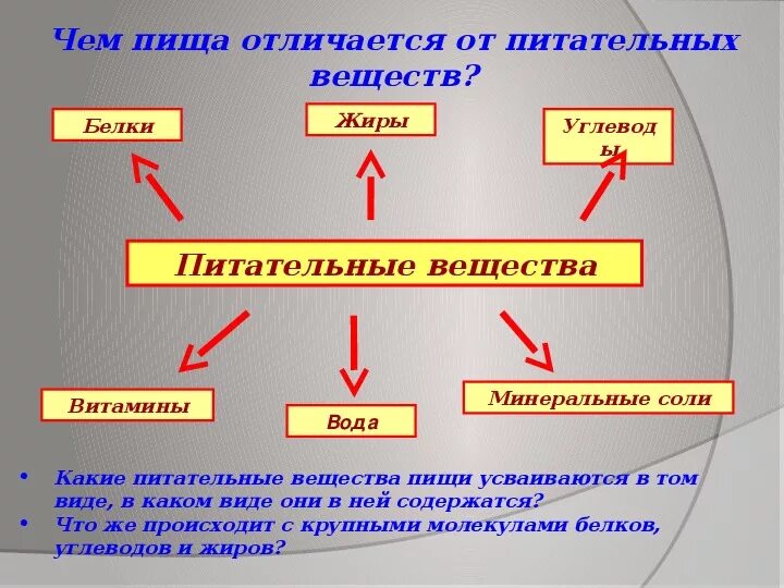 Какие вещества участвуют в транспорте веществ. Минеральные соли это питательные вещества. Вещества участвующие в переваривании питательных веществ. Презентация по биологии питательные вещества. Переваривание Минеральных веществ.