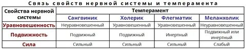 Свойства нервной системы как основа темперамента