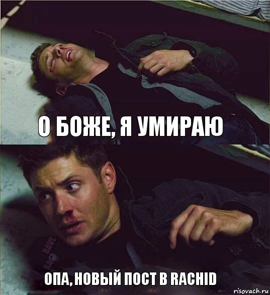 дед мем. не хочу жить цитаты. плохо скоро умру. плохо скоро умру. дед пожимает плечами.