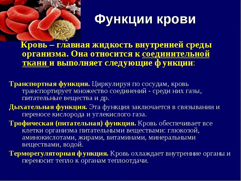 8 функций крови. Основные компоненты крови и функции. Кровь как внутренняя среда организма. Кровь, как важнейшая часть внутренней среды организма. Вещества, которые кровь транспортируют внутри организма.