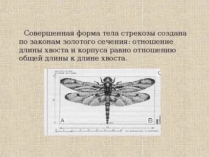 Проект совершенная