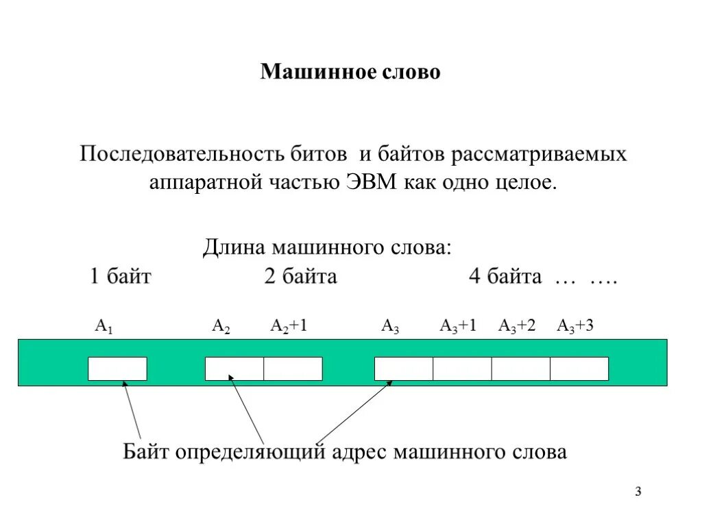 В слове бит битов