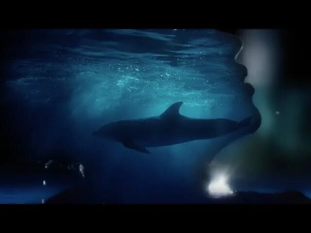 Как дельфины мы уходим. Айова как дельфины. iowa - одно и то же (ivan spell remix). как дельфины мы уходим в плавание. как дельфины мы.