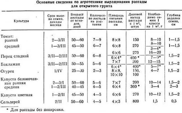 Глубина посадки помидоров на рассаду