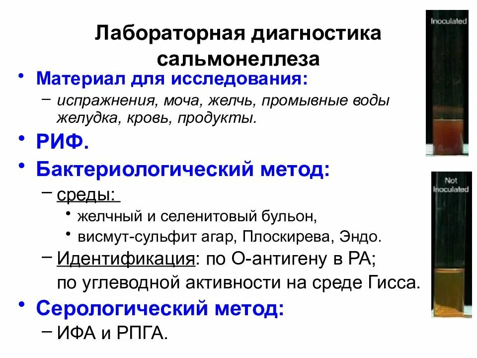 Бактериологический метод исследования сальмонелл. Методы диагностики сальмонеллеза. Методы исследования сальмонеллеза. Методы лабораторной диагностики сальмонеллеза. Исследование на сальмонеллез