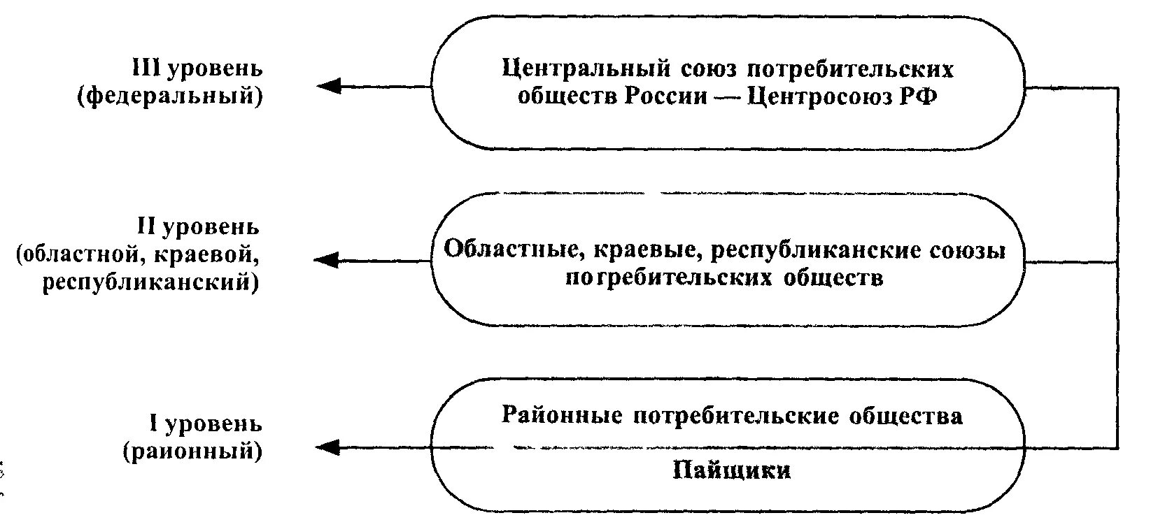 Потребительская кооперация рф. Схема организационного построения потребительской кооперации. Организационная структура потребительской кооперации. Организационная структура системы потребительской кооперации. Структура управления РАЙПО схема.