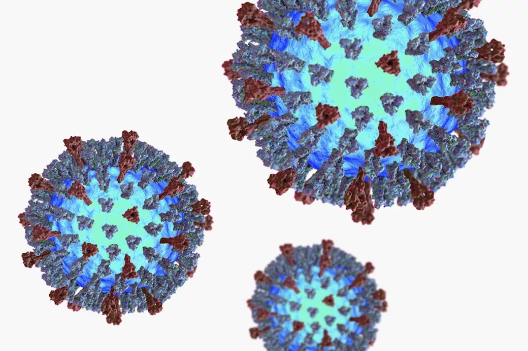 Вирус кори микробиология. Корь возбудитель коронавирус. Возбудитель кори микробиология. Вирус кори сколько