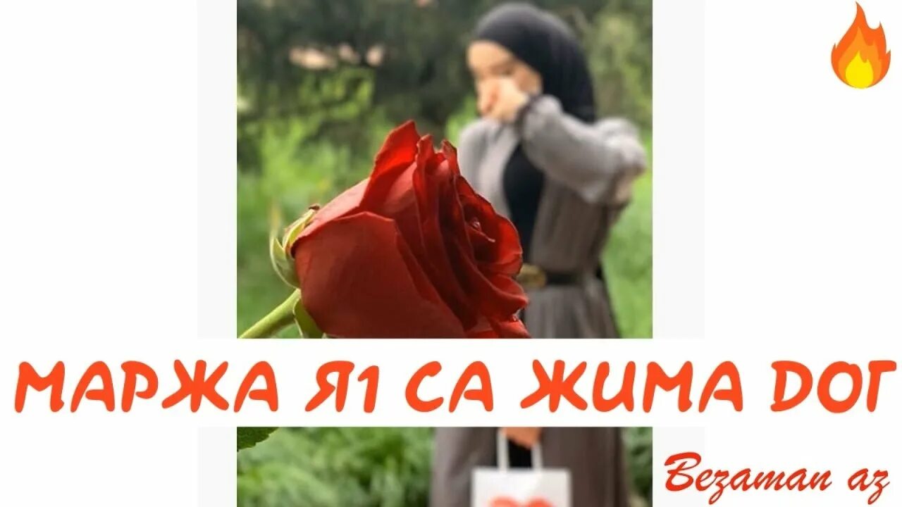 Расаев жималла песни жималла. Дуьсур долу дуьне. Маржа я1 хьо. Хьо мил. Маржа я1 хьо.