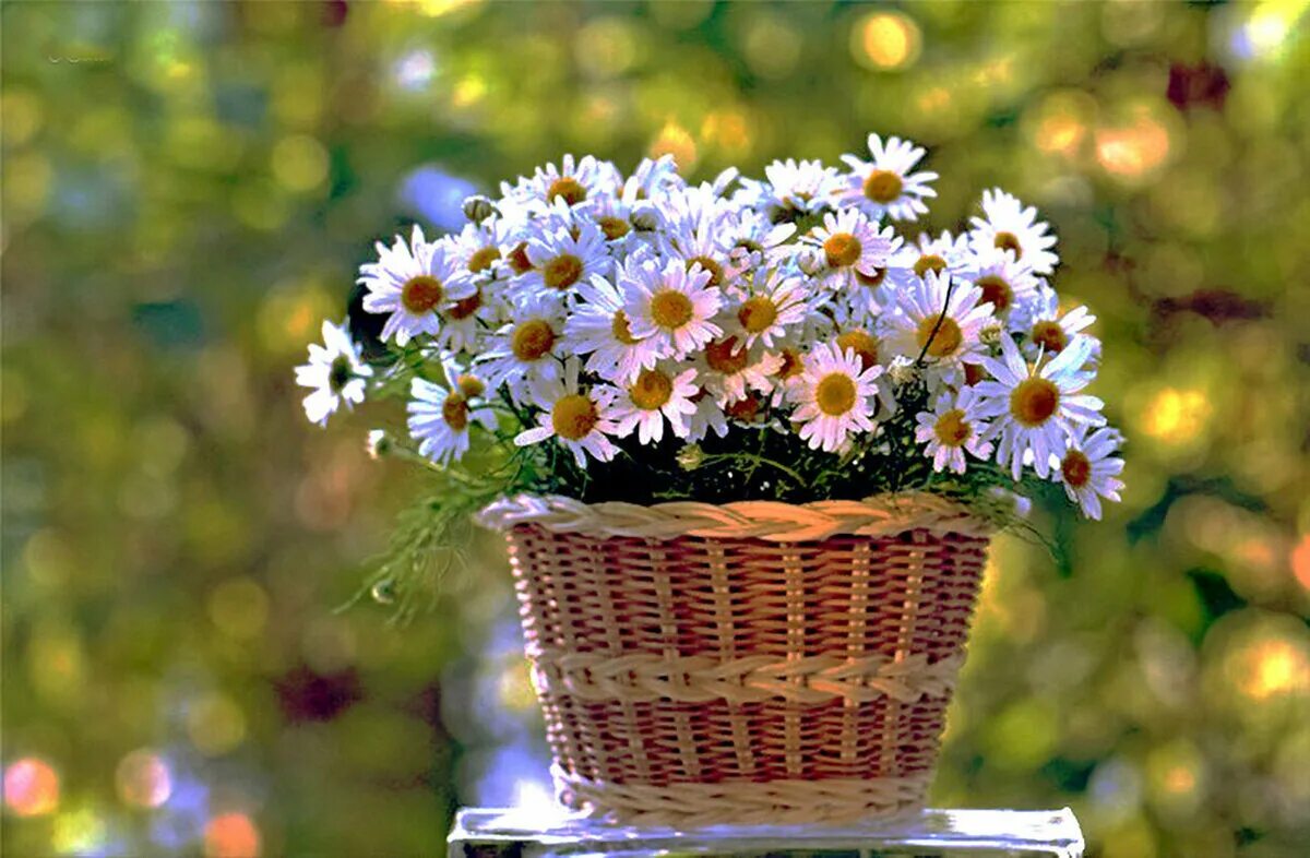 Добрый хороший его все любят. Девочка обнимает. Опережайте друг друга в добрых делах. Цитаты про хороших людей. Счастливая девушка.