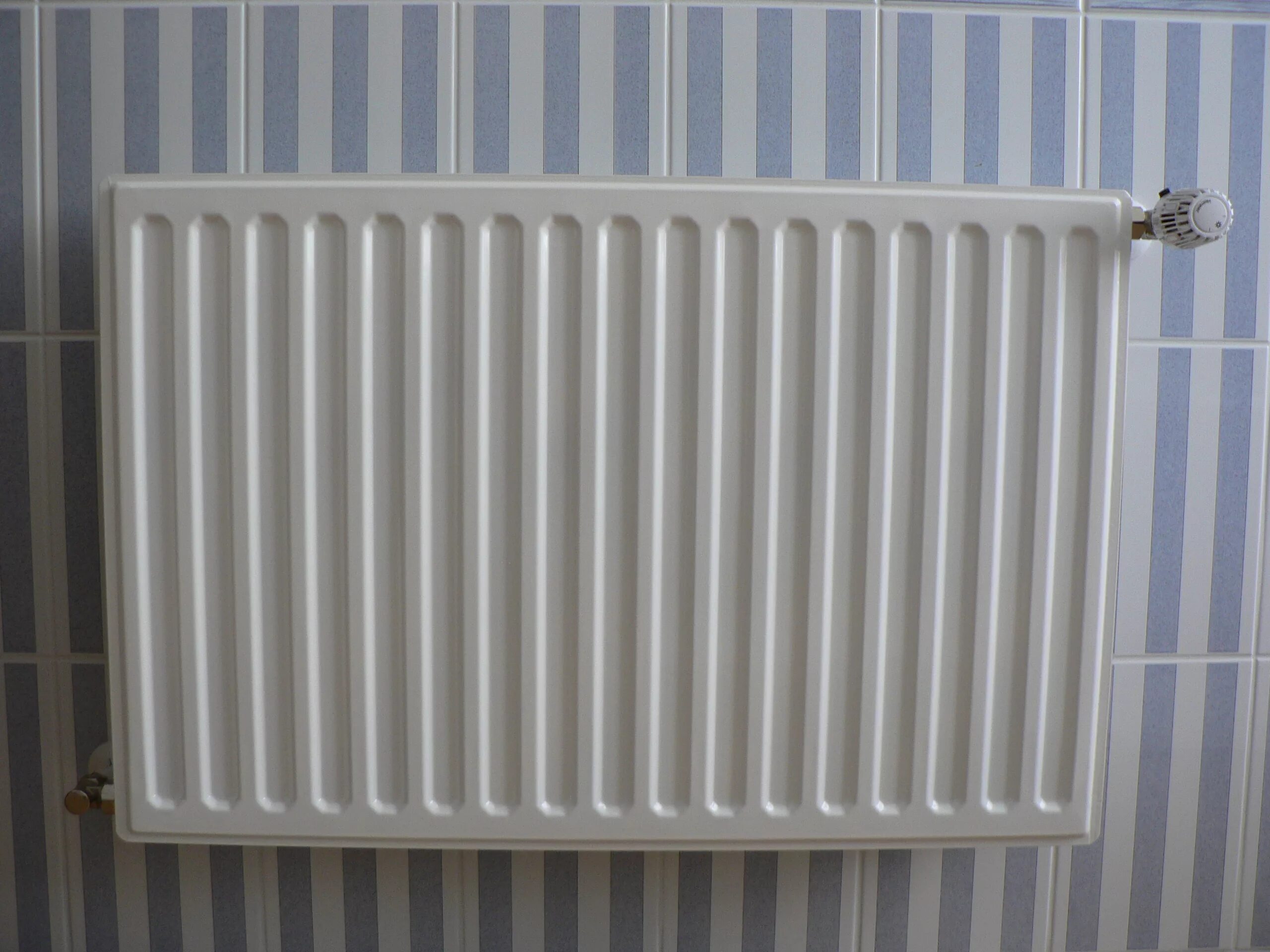 Плоский радиатор отопления l2a. Радиатор стальной панельный ROMMER Ventil 21. Радиатор отопления стальной РСГ. Стальные штампованные радиаторы отопления РСГ. Купить металлический радиатор отопления