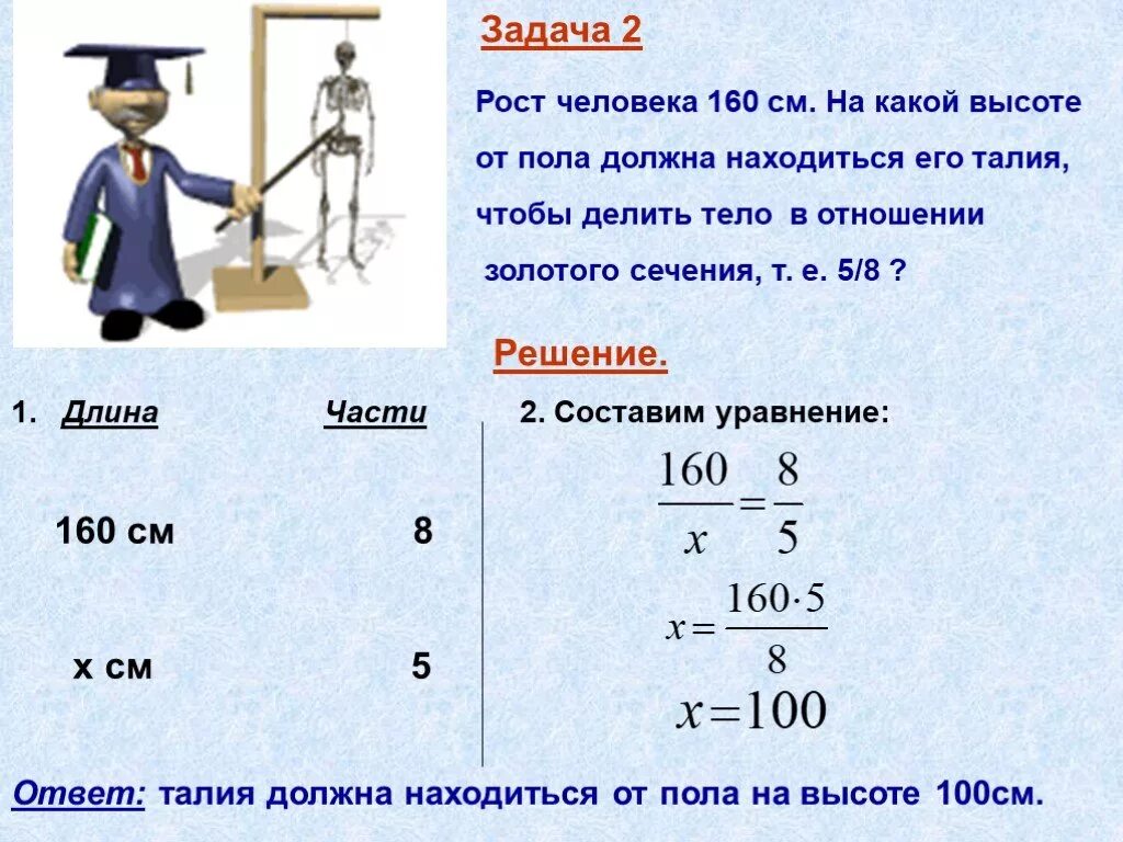 Человек рост которого составляет. Задачи на золотое сечение 6 класс. Задачи по Золотому сечению. Золотое сечение задачи по математике. Примеры золотого сечения в математике.