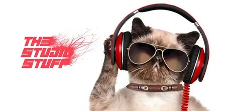 Music pets
