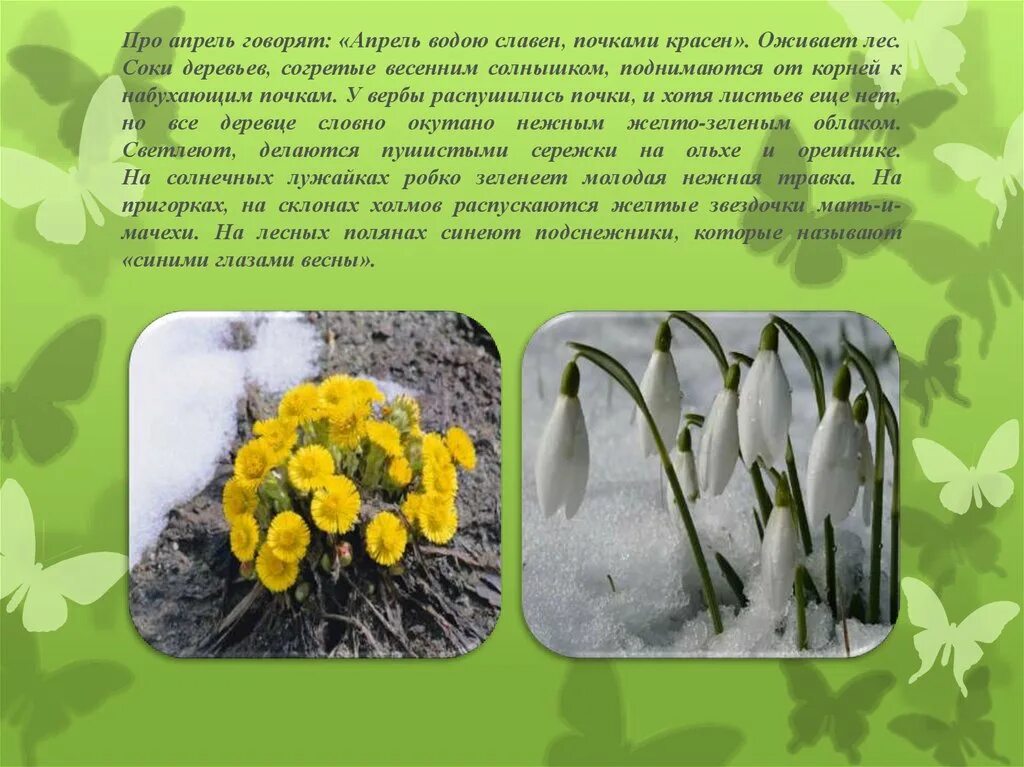 Презентация апрель. Доклад о весне. Маленький рассказ про апрель. Стихи про апрель. Весеннее пробуждение растений тест