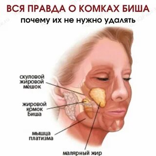 Где щеки на лице