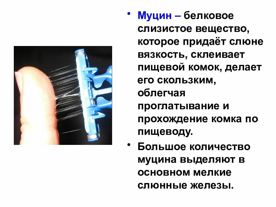 Вязкость слюны. Слизистый компонент придающий вязкость. Состав и функции слюны таблица. Слизистый компонент придающий вязкость. Состав слюны муцин.
