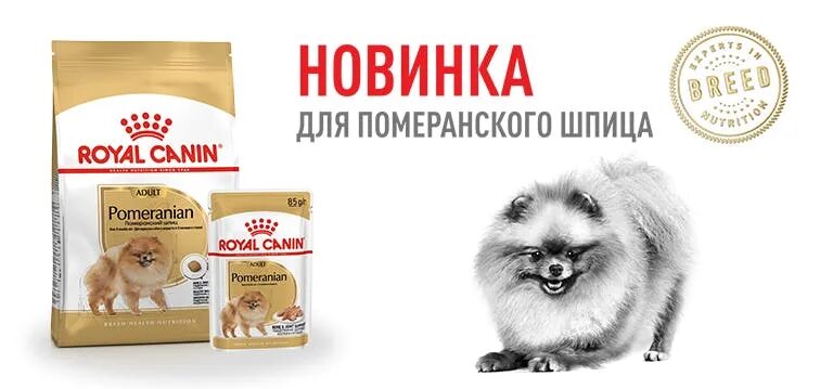 Сколько давать сухой корм шпицу. Корм для померанского шпица роял канин. корм роял канин для померанского шпица щенка. роял канин для щенков шпица 3 месяца. сухой корм для шпицев royal canin.