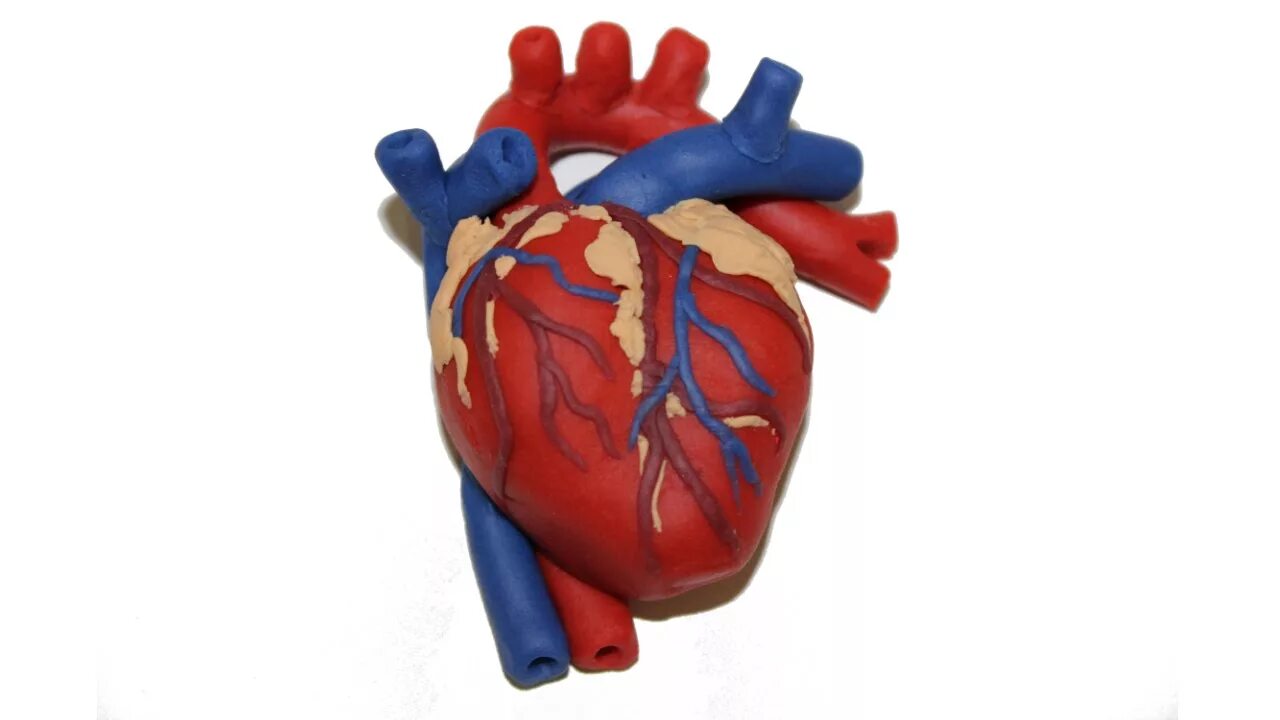 Human Heart 3D Others Side stock illustration. Illustration of analysing - 22381