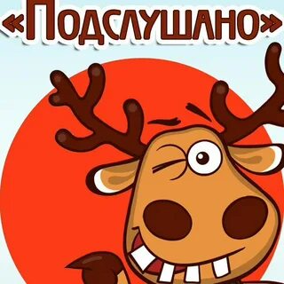 Подслушано в ззуята