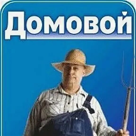 Домовая группа. Домовая группа