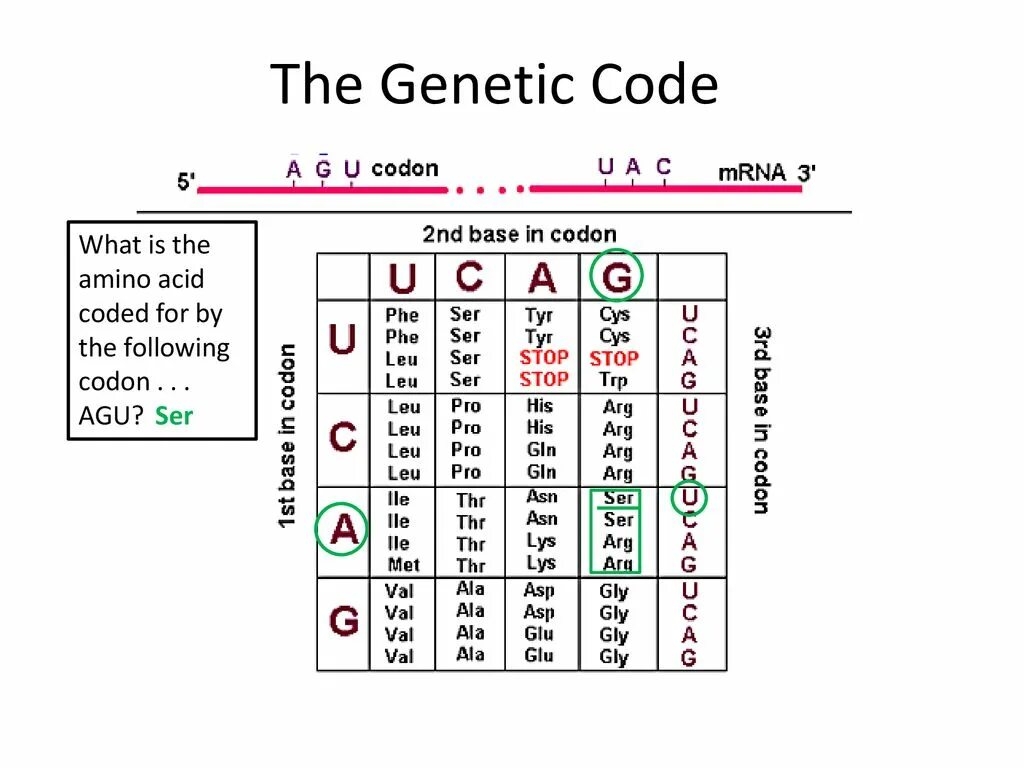 Coding properties