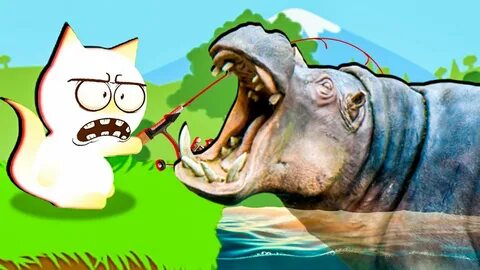 Cat fishing 2