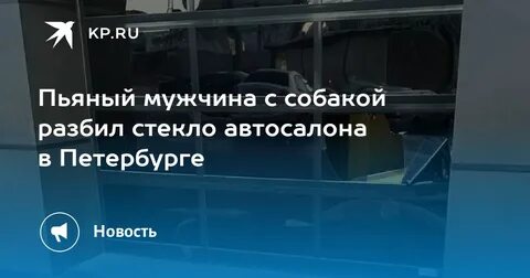 Собака разбила стекло